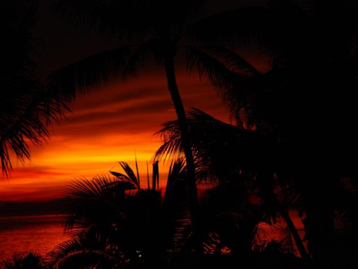 Sibaja Palms Sunset Beach Luxury Villa Taling Ngam Beach المظهر الخارجي الصورة